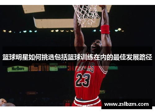 篮球明星如何挑选包括篮球训练在内的最佳发展路径