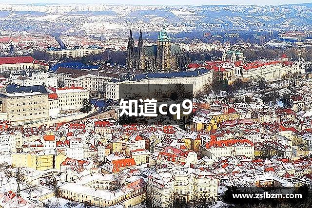 知道cq9